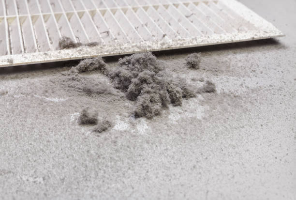 Best Air Duct Cleaning Near Me  in Williamsburg, FL