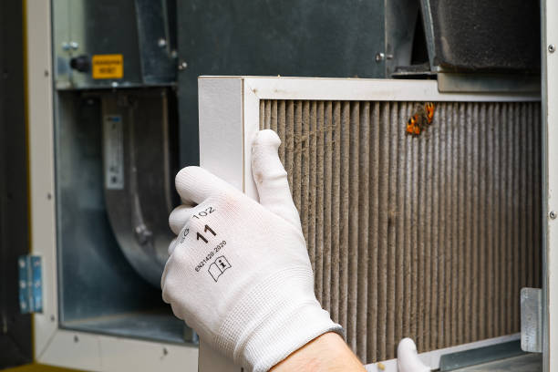 Best Affordable HVAC Duct Cleaning  in Williamsburg, FL