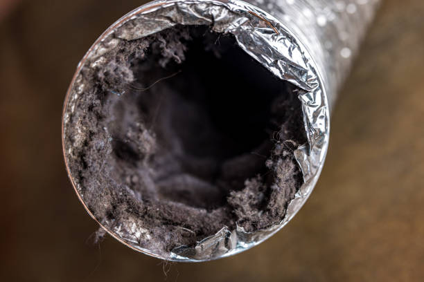 Best Ventilation Cleaning Services  in Williamsburg, FL