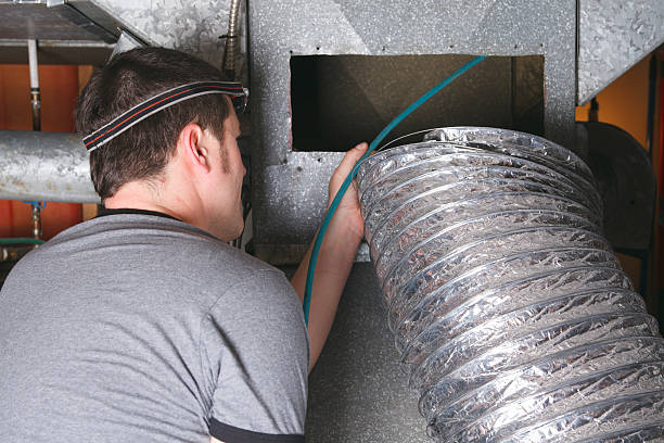 Best Professional Duct Cleaning Services  in Williamsburg, FL
