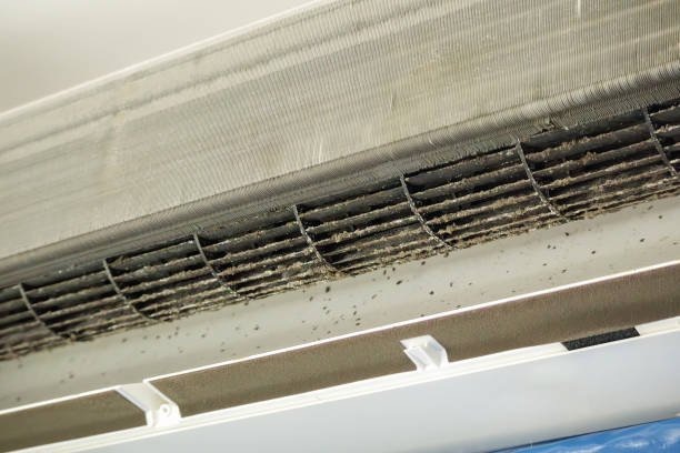 Best Affordable HVAC Duct Cleaning  in Williamsburg, FL